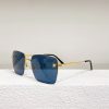 Cartier Sunglasses - CTS001