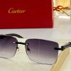 Cartier Sunglasses - CTS068