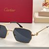 Cartier Sunglasses - CTS058