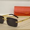 Cartier Sunglasses - CTS074