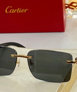 Cartier Sunglasses - CTS069