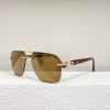Cartier Sunglasses - CTS008