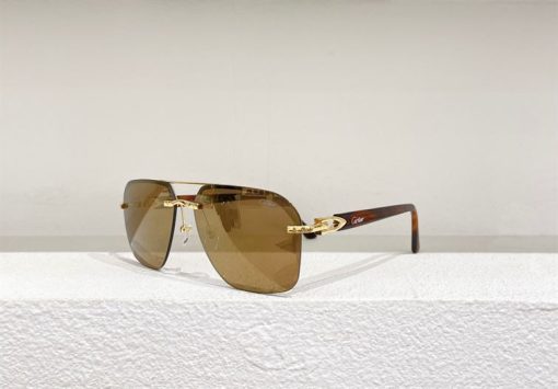 Cartier Sunglasses - CTS008