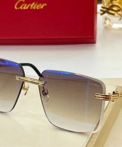 Cartier Sunglasses - CTS052