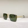 Cartier Sunglasses - CTS002