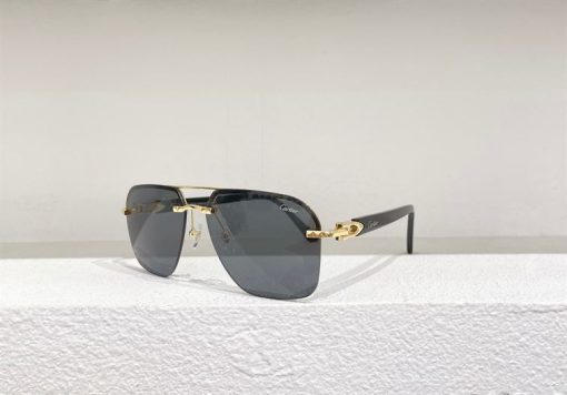 Cartier Sunglasses - CTS009