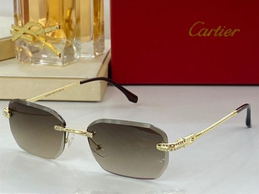 Cartier Sunglasses - CTS066