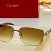 Cartier Sunglasses - CTS070