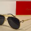 Cartier Sunglasses - CTS091