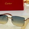 Cartier Sunglasses - CTS072