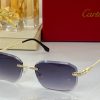 Cartier Sunglasses - CTS065