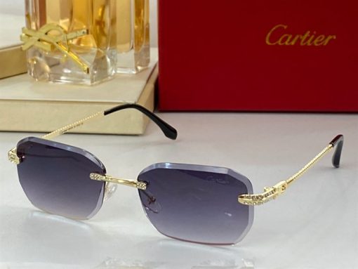 Cartier Sunglasses - CTS065