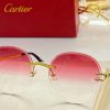 Cartier Sunglasses - CTS082