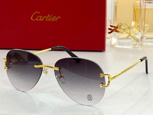 Cartier Sunglasses - CTS045