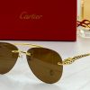 Cartier Sunglasses - CTS048