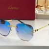 Cartier Sunglasses - CTS033