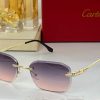 Cartier Sunglasses - CTS063
