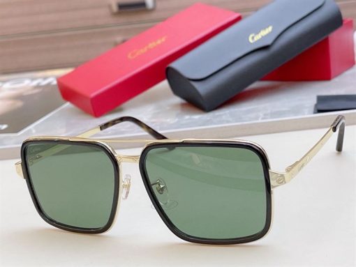 Cartier Sunglasses - CTS019