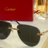 Cartier Sunglasses - CTS095