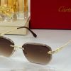 Cartier Sunglasses - CTS064