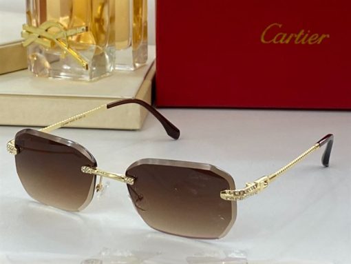 Cartier Sunglasses - CTS064