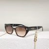 Fendi Sunglasses - FDS026