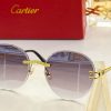 Cartier Sunglasses - CTS083