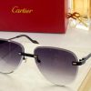 Cartier Sunglasses - CTS096