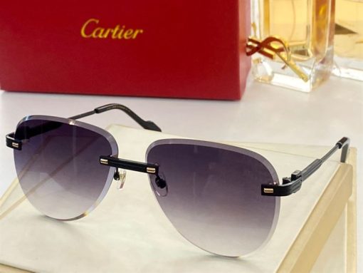 Cartier Sunglasses - CTS096