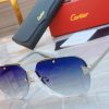 Cartier Sunglasses - CTS022