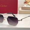 Cartier Sunglasses - CTS059