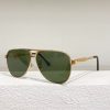 Louis Vuitton Sunglasses - LGV055