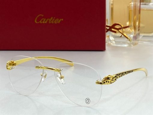 Cartier Sunglasses - CTS049