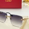 Cartier Sunglasses - CTS087
