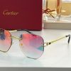 Cartier Sunglasses - CTS034