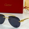 Cartier Sunglasses - CTS050