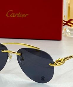 Cartier Sunglasses - CTS050