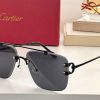 Cartier Sunglasses - CTS040