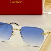Cartier Sunglasses - CTS099