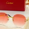 Cartier Sunglasses - CTS086