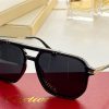 Cartier Sunglasses - CTS015