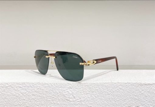 Cartier Sunglasses - CTS007