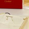 Cartier Sunglasses - CTS090