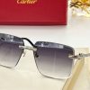 Cartier Sunglasses - CTS056
