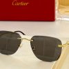 Cartier Sunglasses - CTS100