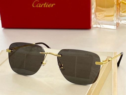 Cartier Sunglasses - CTS100